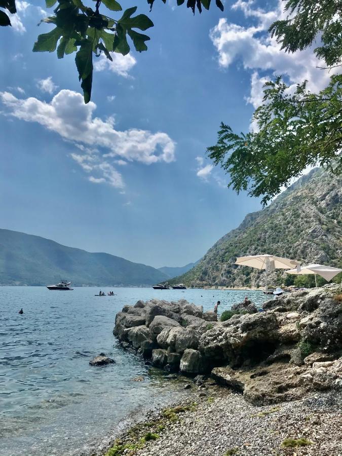 Lemon Tree Villa Kotor Ngoại thất bức ảnh