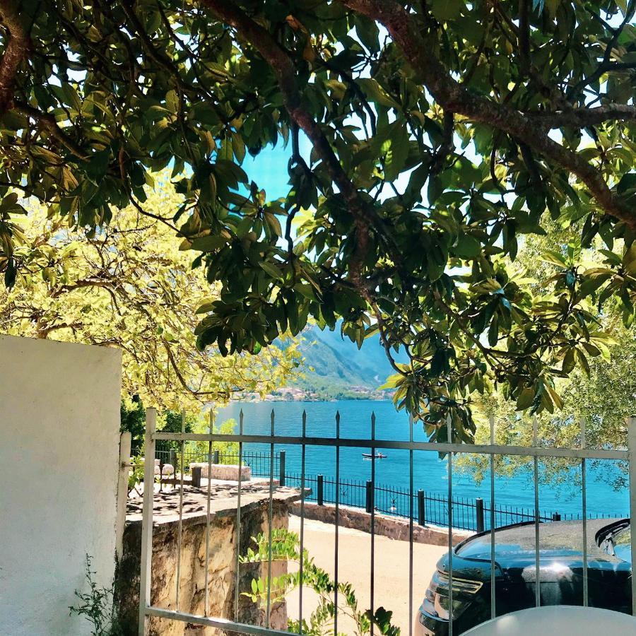 Lemon Tree Villa Kotor Ngoại thất bức ảnh