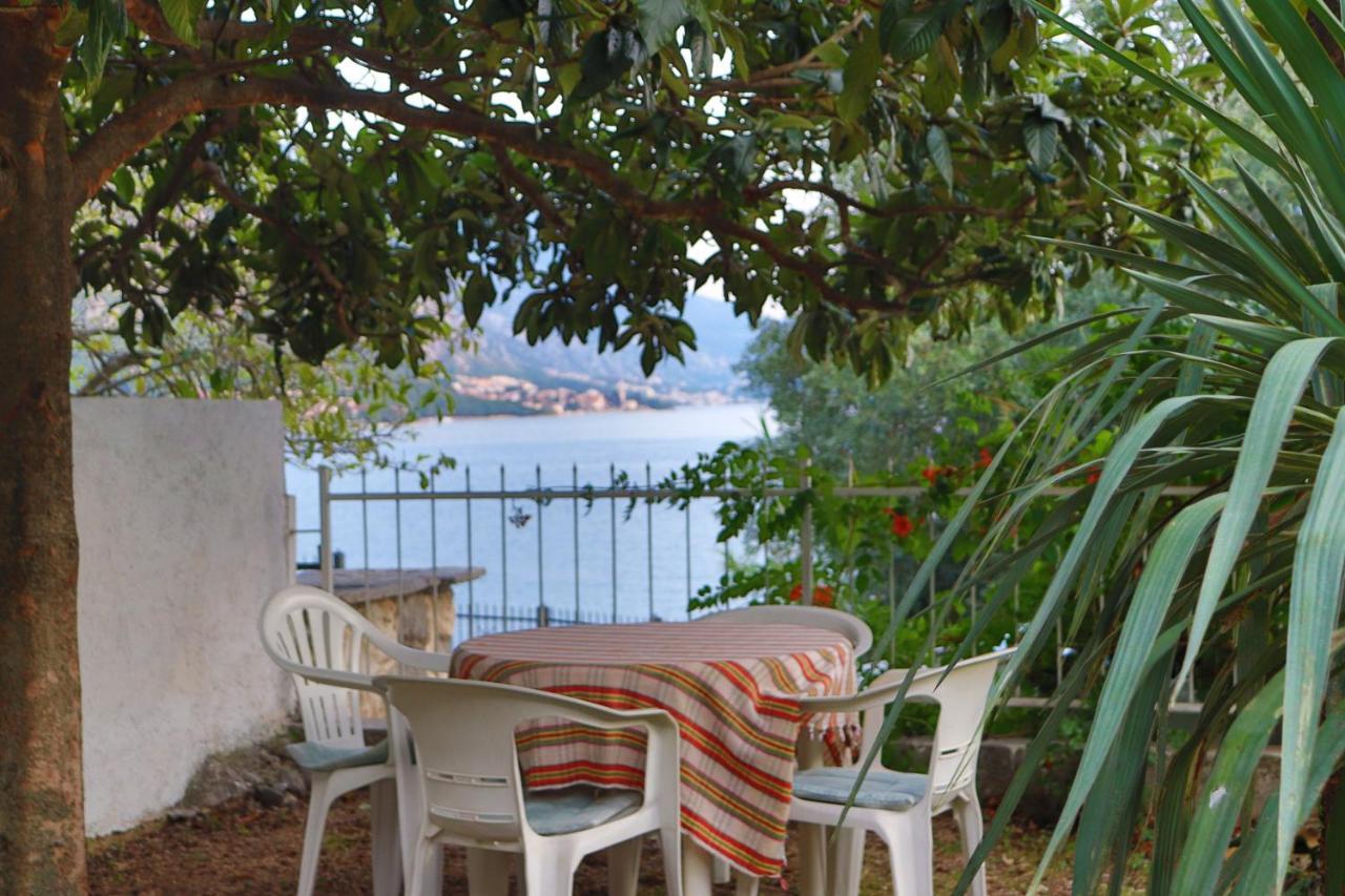 Lemon Tree Villa Kotor Ngoại thất bức ảnh